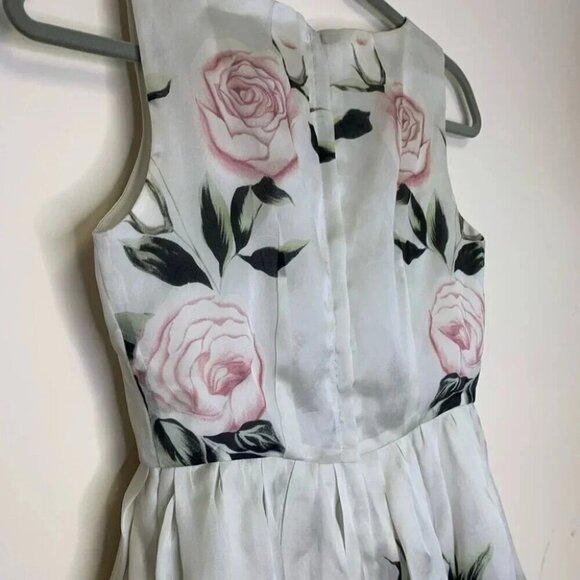Floral Rose Print 100% Silk Cotton Lining Balloon Skirt Midi Dress Size Small - Picture 8 of 13